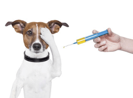 Vacunaciones y medicina preventiva